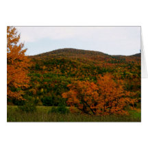 Vermont autumn greeting cards