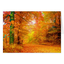 Vermont Autumn Greeting Cards
