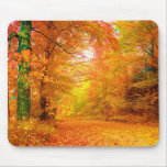 Vermont Autumn Mousepads