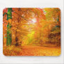 Vermont Autumn Mousepads