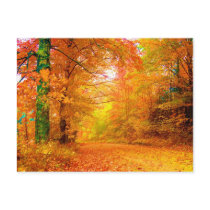 Vermont Autumn Post Card