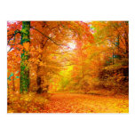 Vermont Autumn Post Card