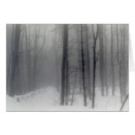 Vermont Snowy Woods holiday card