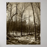 Vermont Winter posters