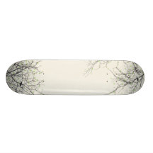 Vernal Equinox Skate Decks