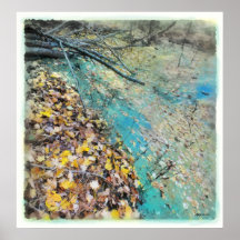 Vernal pond ,poster