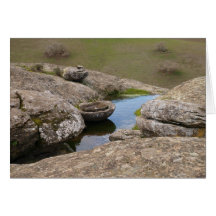 Vernal Pool Card