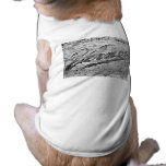 Vernors Wall - Ann Arbor, Michigan pet clothing