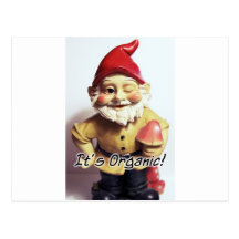 Veronica the Gnome Post Card