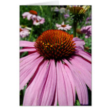 vers le jardin cards