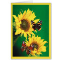 Verse - Butterflies of Summer 2 cards