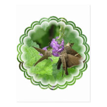Vertical Butterfly Trio Postcard