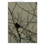 Vertical Greeting Card: Little Bird