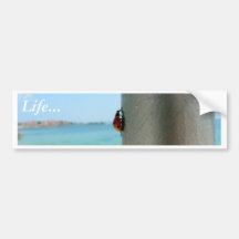 Vertical Ladybug Bumper Sticker