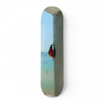 Vertical Ladybug Skate Board