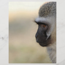 Vervet Monkey Custom Flyer