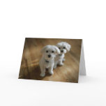 Very Cute Puppies cards