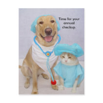 Vet Checkup Reminder Post Card