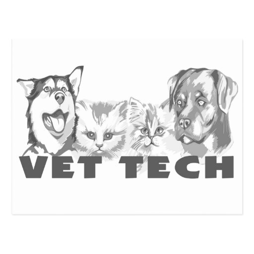 Vet Tech Post Cards