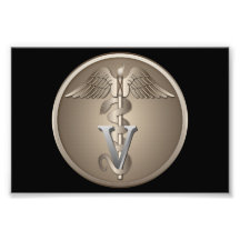 Veterinarian Caduceus Art Photo