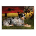 Veterinarian - Dog - Always Faithful (healer) cards