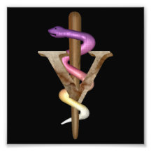 Veterinarian Emblem Art Photo