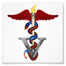 Veterinary Caduceus Photo