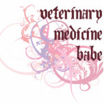 Veterinary Medicine Babe photo sculptures