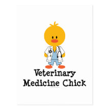 Veterinary Medicine Chick Postcard
