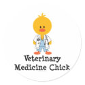 Veterinary Medicine Chick Stickers