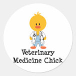 Veterinary Medicine Chick Stickers