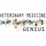 Veterinary Medicine Genius photo sculptures