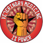 Veterinary Medicine Is Power photo sculptures