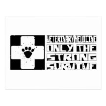 Veterinary Medicine Survive Post Cards