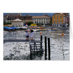 Vevey Lake Geneva Cards
