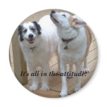 VG- Dogs- It's all in the attitude! Button magnets