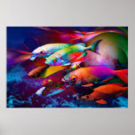VIBRANCE posters