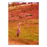 Vibrant Colour Egret