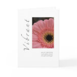 Vibrant Daisy Greeting Card