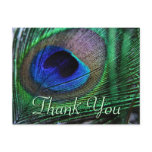 Vibrant feathers Postcard