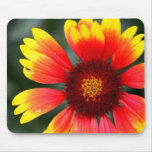 Vibrant Flower Mouse Pads