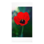 Vibrant Flower Custom Photo Card