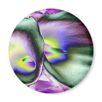 Vibrant Lilies Refrigerator Magnets