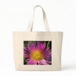Vibrant Purple Ice Plant bags