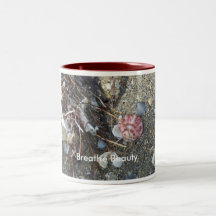 Vibrant Red Shell Washed Up by the Tide, Breath... Coffee Mugs