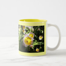 Vibrant Tulip Mug