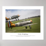 Vichy Fledglings posters