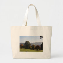 Victoria Park Bath England Tote Bag