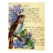 Victorian Bird and Typography I Post Card