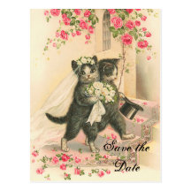 Victorian Kitten Wedding Save the Date Postcard